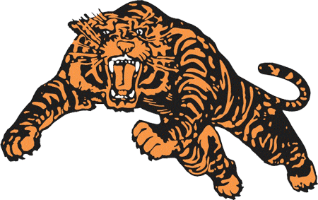 Princeton Tigers 1964-1983 Primary Logo diy iron on heat transfer